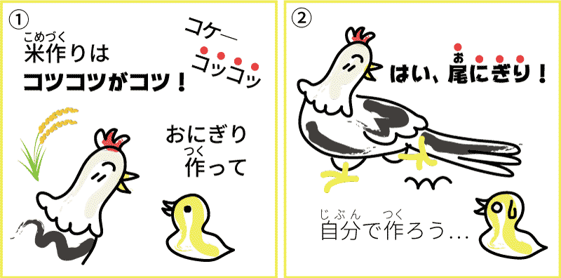 新潟県の米1