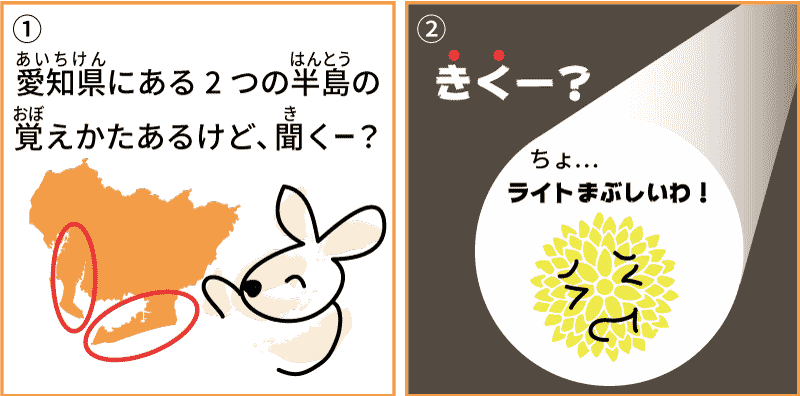 愛知県の菊1