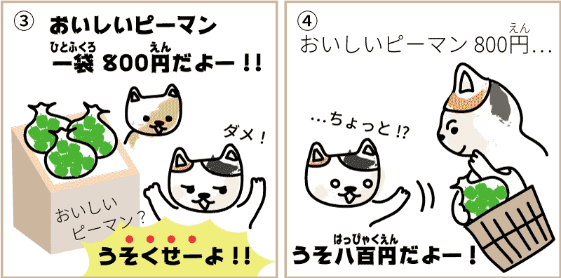 宮崎県のキュウリ2