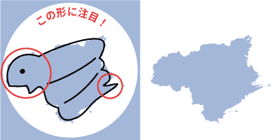 徳島県の形