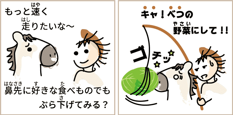 群馬県のキャベツ